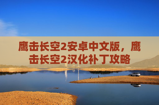 鹰击长空2安卓中文版，鹰击长空2汉化补丁攻略