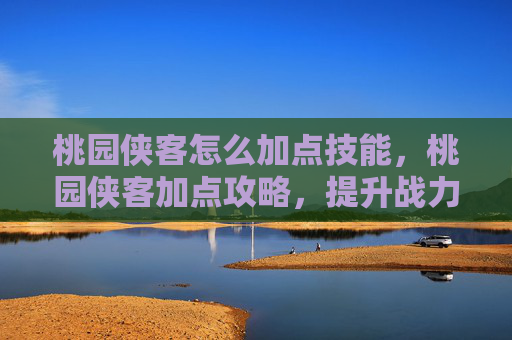 桃园侠客怎么加点技能,桃园侠客加点攻略,提升战力,成为游戏中的佼佼者 桃园侠客怎么加点技能,桃园侠客加点攻略,提升战力,成为游戏中的佼佼者