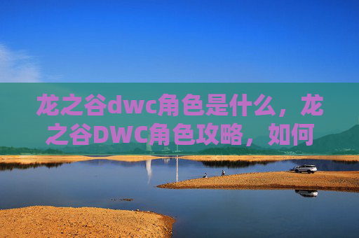 龙之谷dwc角色是什么，龙之谷DWC角色攻略，如何打造你的强力战士