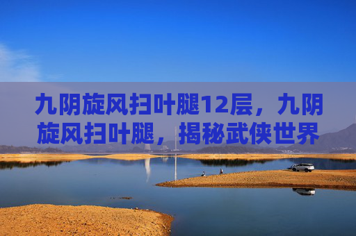 九阴旋风扫叶腿12层，九阴旋风扫叶腿，揭秘武侠世界中的绝世武功