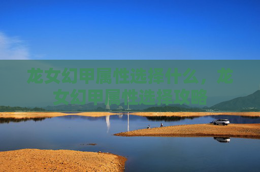 龙女幻甲属性选择什么，龙女幻甲属性选择攻略