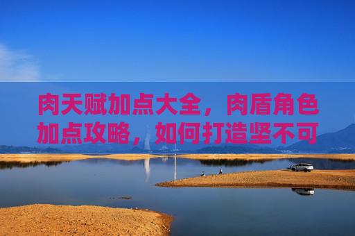 肉天赋加点大全，肉盾角色加点攻略，如何打造坚不可摧的肉盾角色？