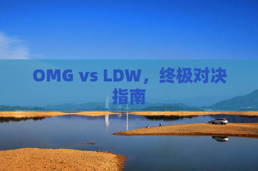 OMG vs LDW,终极对决指南 OMG vs LDW,终极对决指南