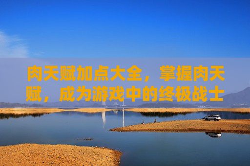 肉天赋加点大全，掌握肉天赋，成为游戏中的终极战士