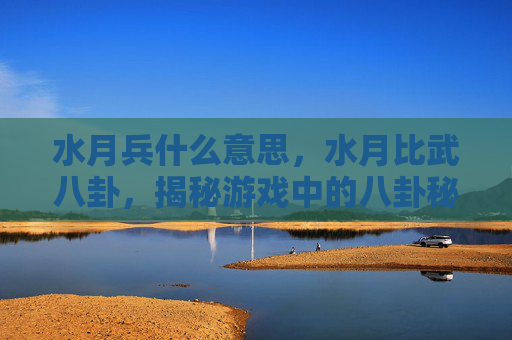 水月兵什么意思，水月比武八卦，揭秘游戏中的八卦秘辛