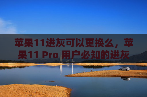 苹果11进灰可以更换么，苹果11 Pro 用户必知的进灰门防护攻略