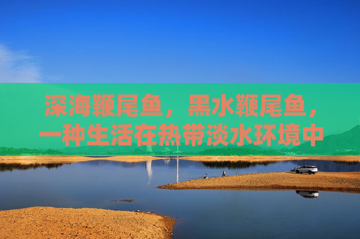 深海鞭尾鱼,黑水鞭尾鱼,一种生活在热带淡水环境中的鱼类,以其独特的黑色尾巴和鲜艳的色彩而闻名。在探讨黑水鞭尾鱼鱼卵的相关内容时,我们可以从以下几个方面进行深入分析 深海鞭尾鱼,黑水鞭尾鱼,一种生活在热带淡水环境中的鱼类,以其独特的黑色尾巴和鲜艳的色彩而闻名。在探讨黑水鞭尾鱼鱼卵的相关内容时,我们可以从以下几个方面进行深入分析