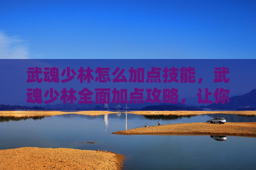 武魂少林怎么加点技能，武魂少林全面加点攻略，让你的少林角色更加强大！