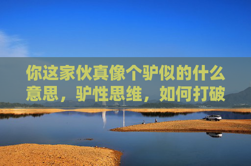 你这家伙真像个驴似的什么意思，驴性思维，如何打破传统束缚，激发创新潜能