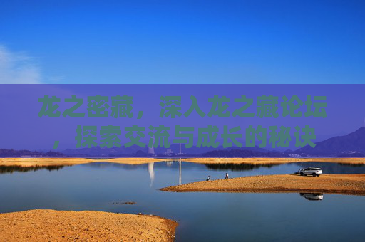 龙之密藏,深入龙之藏论坛,探索交流与成长的秘诀 龙之密藏,深入龙之藏论坛,探索交流与成长的秘诀