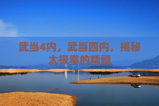 武当4内，武当四内，揭秘太极拳的精髓
