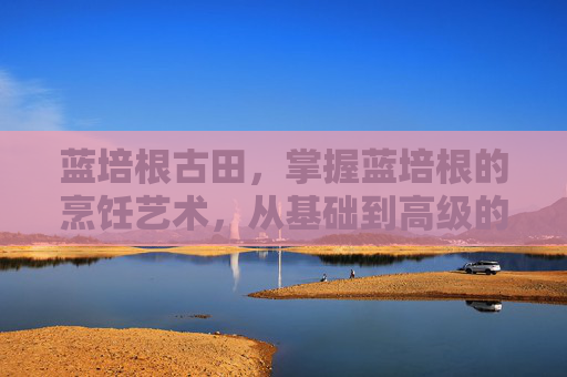 蓝培根古田，掌握蓝培根的烹饪艺术，从基础到高级的全面攻略