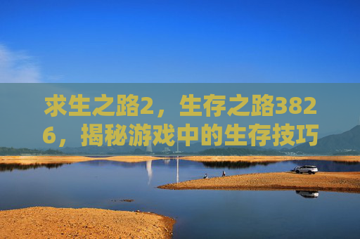 求生之路2，生存之路3826，揭秘游戏中的生存技巧与策略