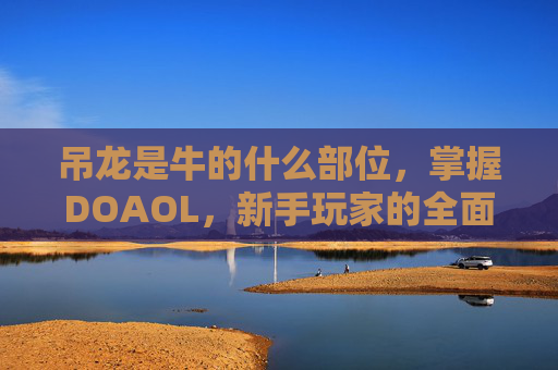 吊龙是牛的什么部位，掌握DOAOL，新手玩家的全面攻略