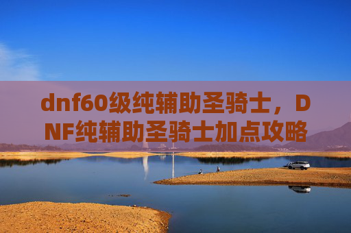 dnf60级纯辅助圣骑士，DNF纯辅助圣骑士加点攻略