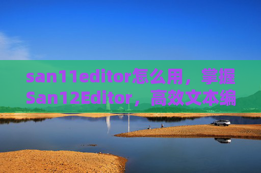 san11editor怎么用,掌握San12Editor,高效文本编辑与创作指南 san11editor怎么用,掌握San12Editor,高效文本编辑与创作指南