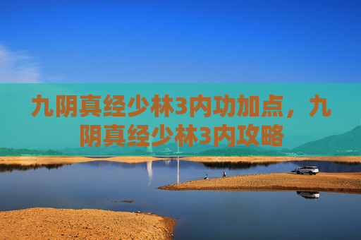 九阴真经少林3内功加点，九阴真经少林3内攻略