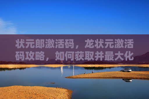 状元郎激活码，龙状元激活码攻略，如何获取并最大化利用你的游戏内资源