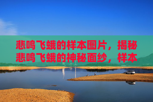 悲鸣飞蛾的样本图片,揭秘悲鸣飞蛾的神秘面纱,样本研究与生态影响 悲鸣飞蛾的样本图片,揭秘悲鸣飞蛾的神秘面纱,样本研究与生态影响