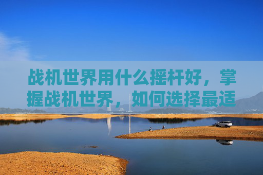 战机世界用什么摇杆好,掌握战机世界,如何选择最适合你的摇杆 战机世界用什么摇杆好,掌握战机世界,如何选择最适合你的摇杆