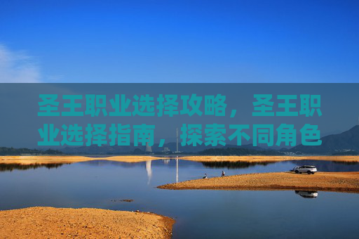圣王职业选择攻略，圣王职业选择指南，探索不同角色的潜力与策略