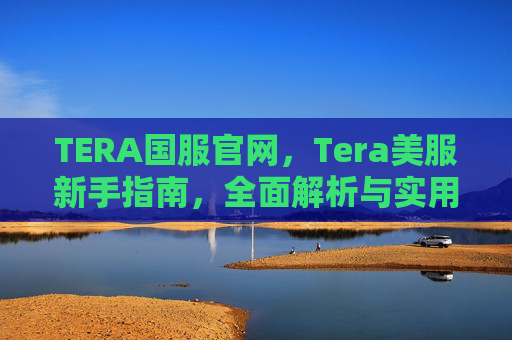 TERA国服官网，Tera美服新手指南，全面解析与实用技巧