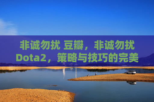 非诚勿扰 豆瓣，非诚勿扰Dota2，策略与技巧的完美融合