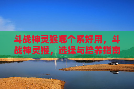 斗战神灵猴哪个系好用，斗战神灵猴，选择与培养指南
