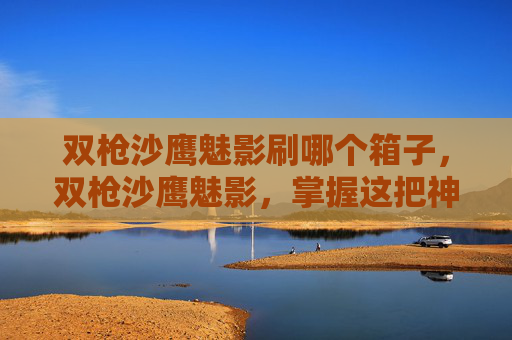 双枪沙鹰魅影刷哪个箱子，双枪沙鹰魅影，掌握这把神秘武器的终极攻略