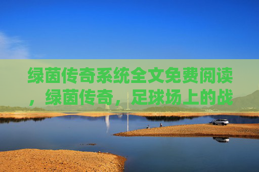 绿茵传奇系统全文免费阅读，绿茵传奇，足球场上的战术智慧与团队精神