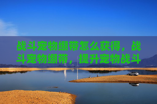 战斗宠物绷带怎么获得，战斗宠物绷带，提升宠物战斗力的必备良品