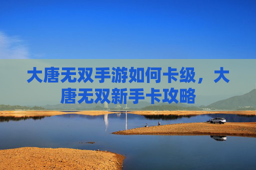 大唐无双手游如何卡级,大唐无双新手卡攻略 大唐无双手游如何卡级,大唐无双新手卡攻略