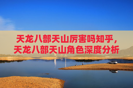 天龙八部天山厉害吗知乎，天龙八部天山角色深度分析，实力与策略的完美结合