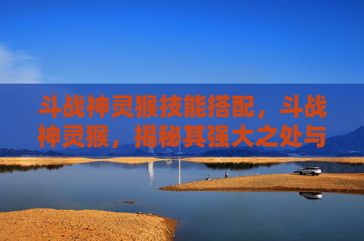 斗战神灵猴技能搭配，斗战神灵猴，揭秘其强大之处与使用策略