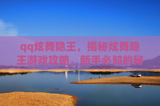 qq炫舞隐王，揭秘炫舞隐王游戏攻略，新手必知的秘籍