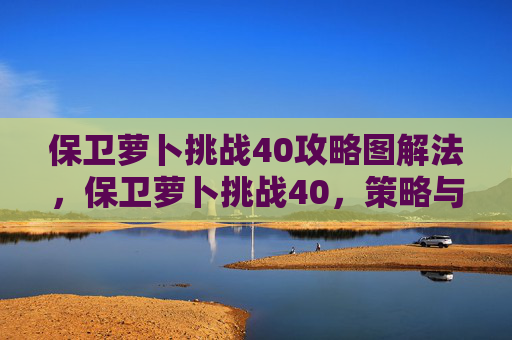 保卫萝卜挑战40攻略图解法，保卫萝卜挑战40，策略与技巧全解析