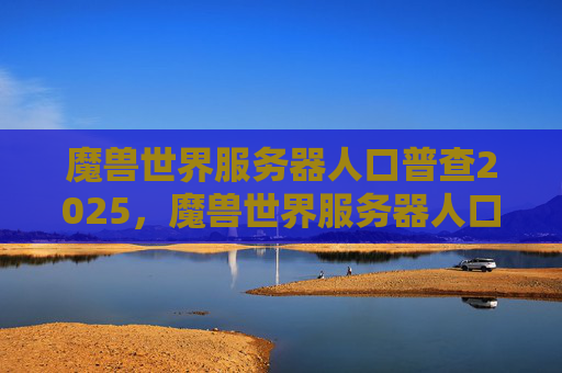 魔兽世界服务器人口普查2025，魔兽世界服务器人口普查攻略