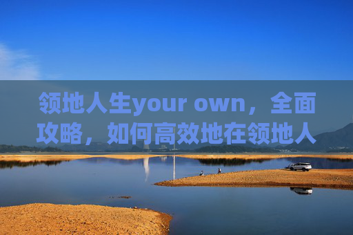 领地人生your own，全面攻略，如何高效地在领地人生中成长与探索