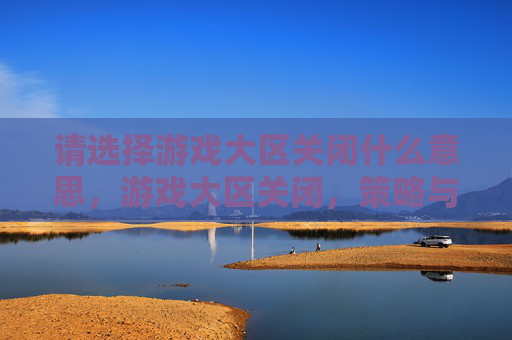 请选择游戏大区关闭什么意思，游戏大区关闭，策略与技巧全解析