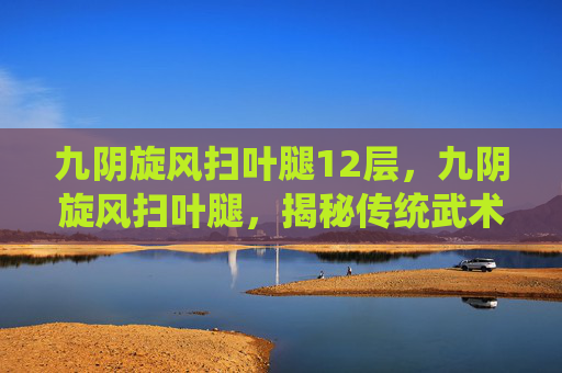 九阴旋风扫叶腿12层，九阴旋风扫叶腿，揭秘传统武术中的绝技