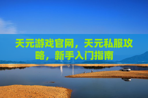 天元游戏官网，天元私服攻略，新手入门指南