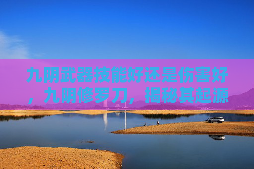 九阴武器技能好还是伤害好，九阴修罗刀，揭秘其起源、特性与实战应用