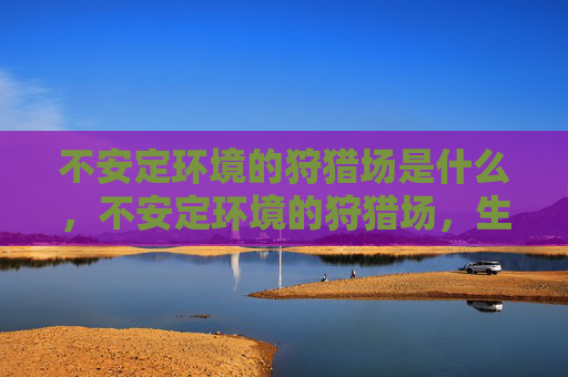 不安定环境的狩猎场是什么,不安定环境的狩猎场,生存与智慧的较量 不安定环境的狩猎场是什么,不安定环境的狩猎场,生存与智慧的较量