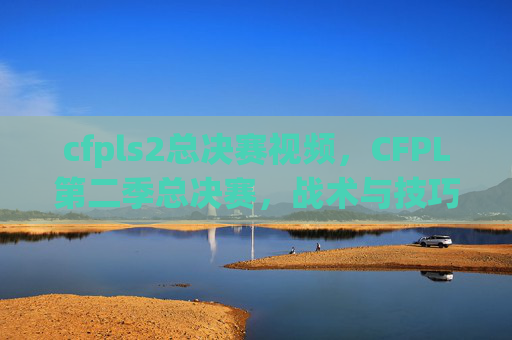 cfpls2总决赛视频，CFPL第二季总决赛，战术与技巧的完美结合