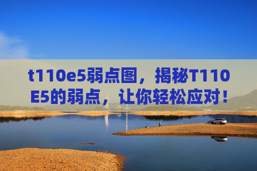 t110e5弱点图，揭秘T110E5的弱点，让你轻松应对！