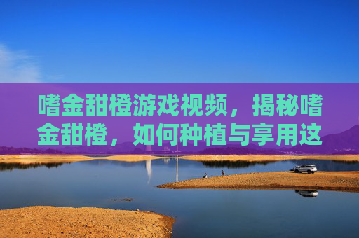 嗜金甜橙游戏视频,揭秘嗜金甜橙,如何种植与享用这一珍稀美味 嗜金甜橙游戏视频,揭秘嗜金甜橙,如何种植与享用这一珍稀美味