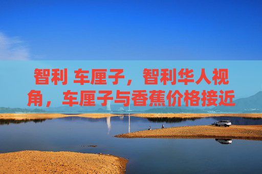 智利 车厘子，智利华人视角，车厘子与香蕉价格接近，背后的原因及影响