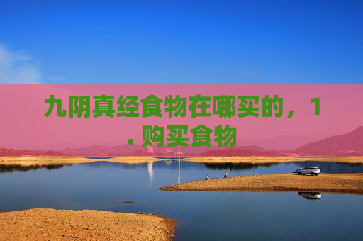 九阴真经食物在哪买的，1. 购买食物