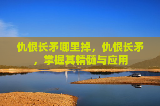 仇恨长矛哪里掉,仇恨长矛,掌握其精髓与应用 仇恨长矛哪里掉,仇恨长矛,掌握其精髓与应用