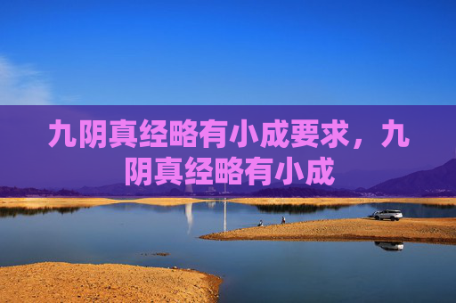 九阴真经略有小成要求，九阴真经略有小成